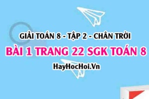 Bài 1 trang 22 Toán 8 Tập 2 Chân trời sáng tạo: Hàm Số Bậc Nhất